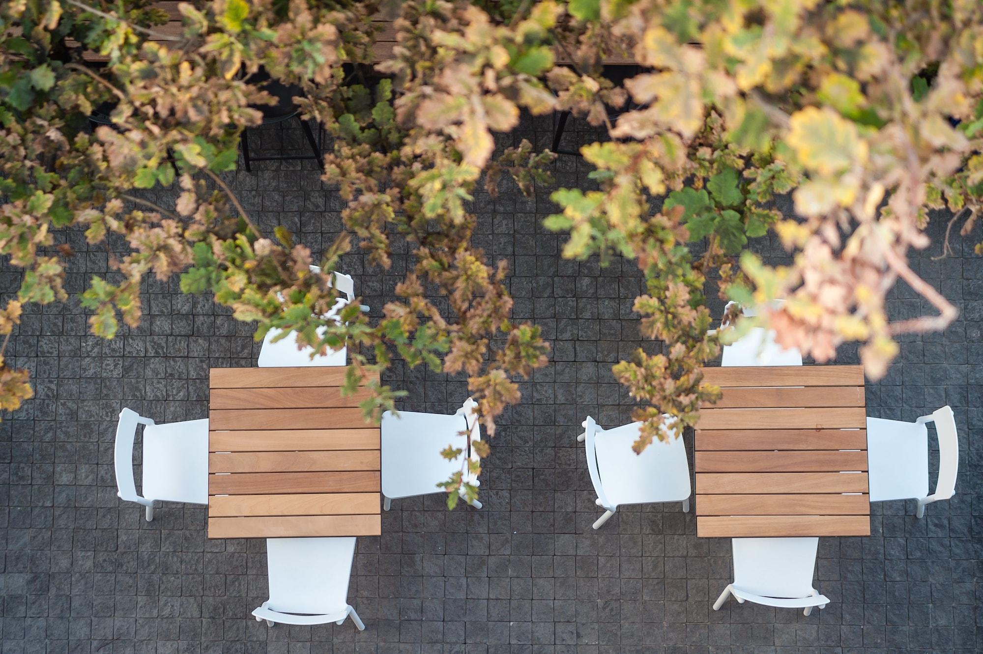 סטלנבוש 107 Dorpstraat Boutique Hotel מראה חיצוני תמונה